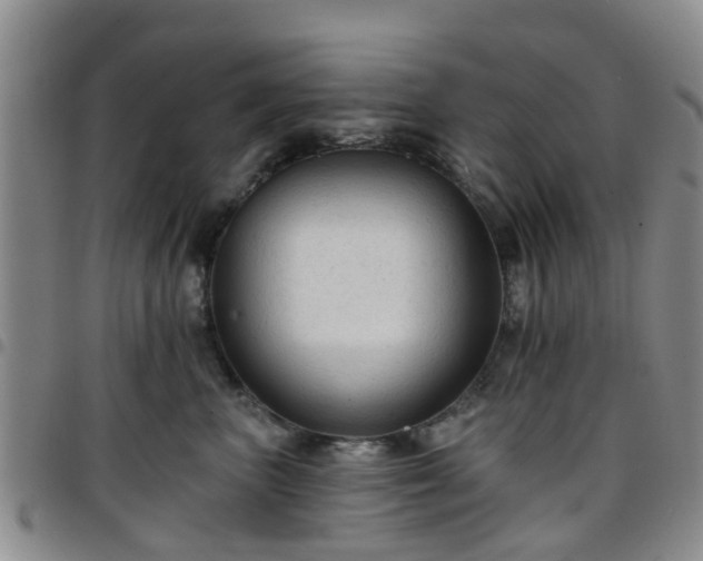 X0000097750667200803141558