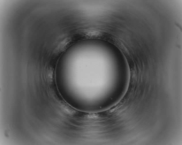 X0000097750668200803141558