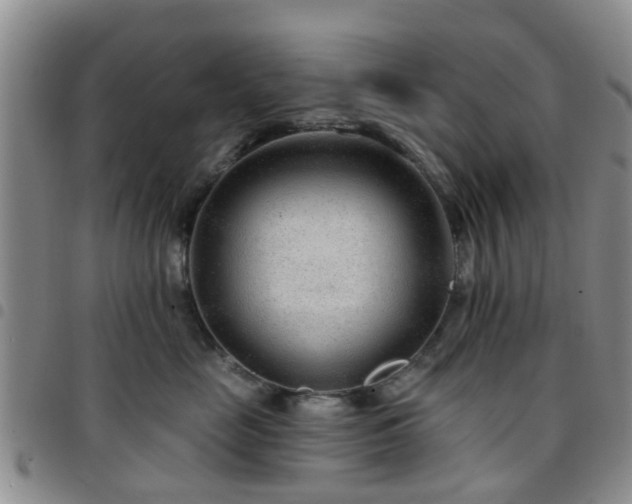 X0000097750669200803141558