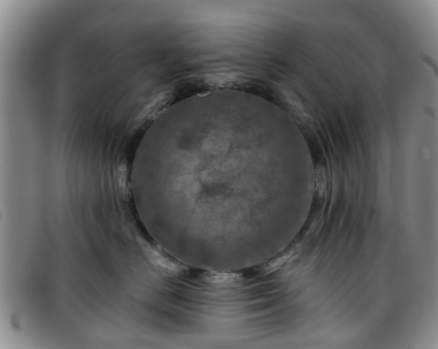 X0000097750670200803141558