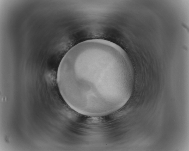 X0000097750672200803141558