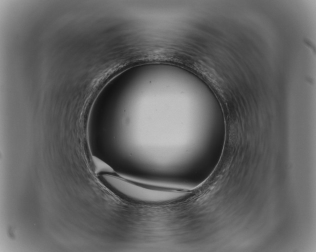 X0000097750673200803141557