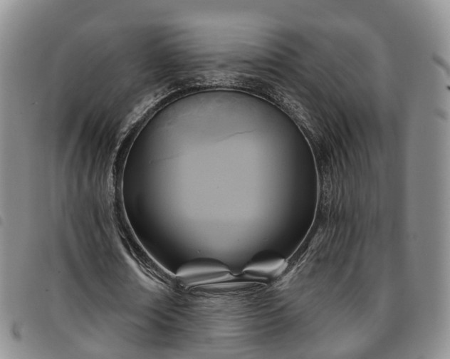 X0000097750674200803141557