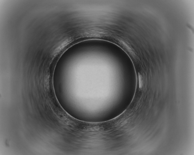 X0000097750675200803141557