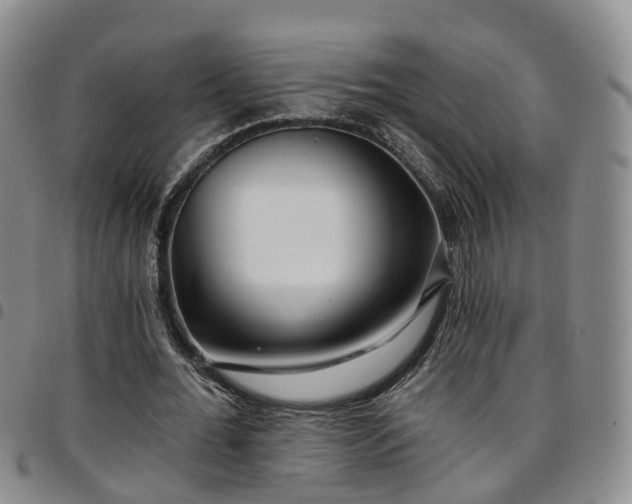 X0000097750676200803141557