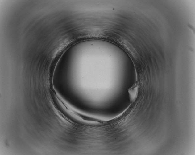 X0000097750677200803141557