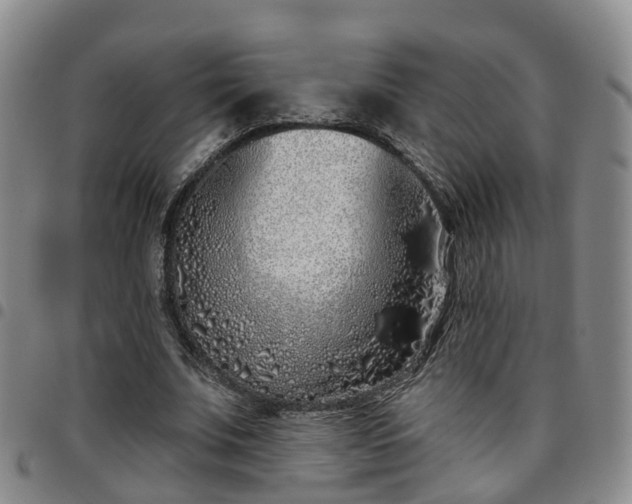 X0000097750679200803141557