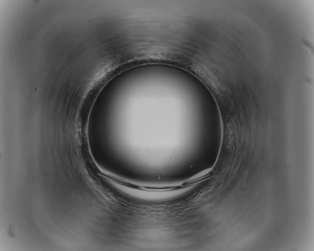 X0000097750680200803141557