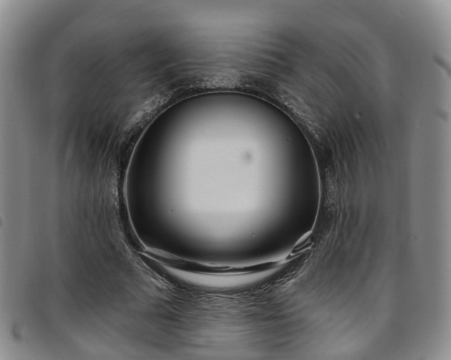 X0000097750681200803141557