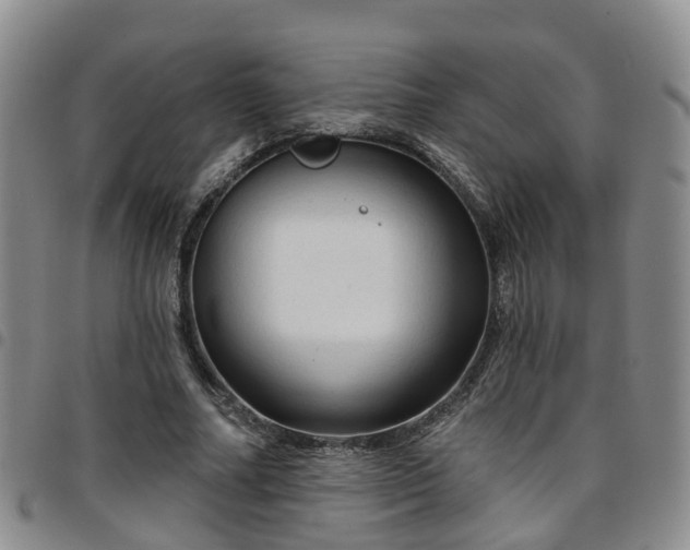 X0000097750682200803141557