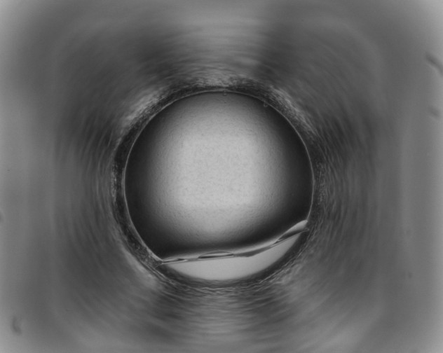 X0000097750683200803141557