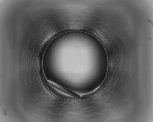 X0000097750684200803141557