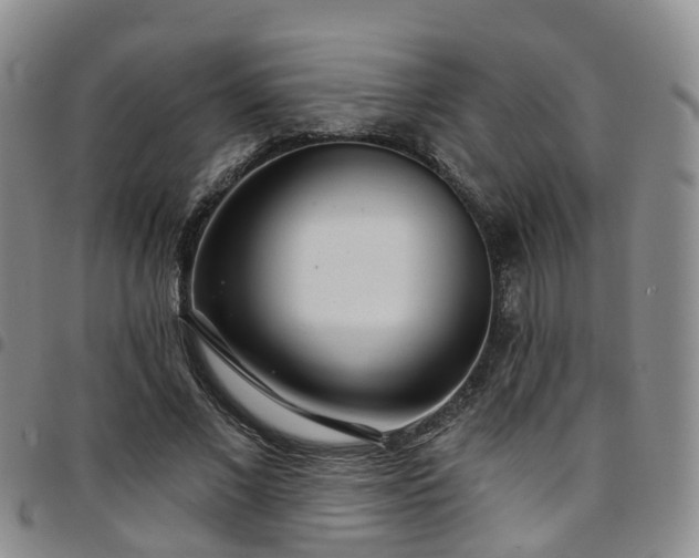 X0000097750685200803141557