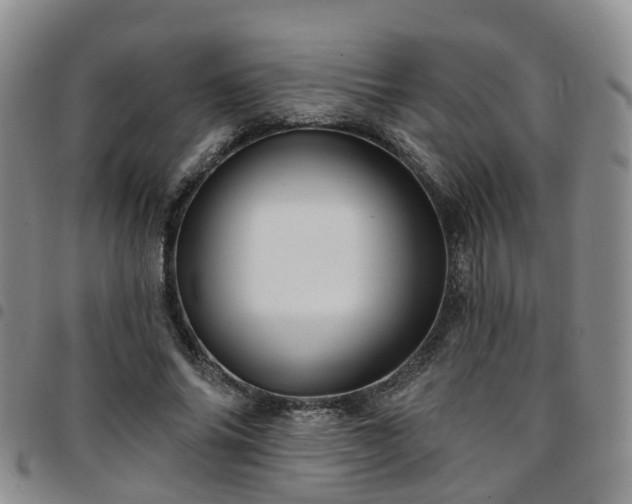 X0000097750686200803141557