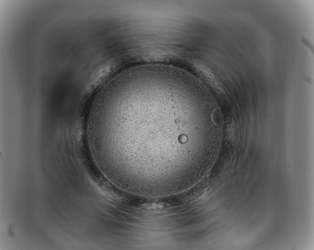 X0000097750687200803141557