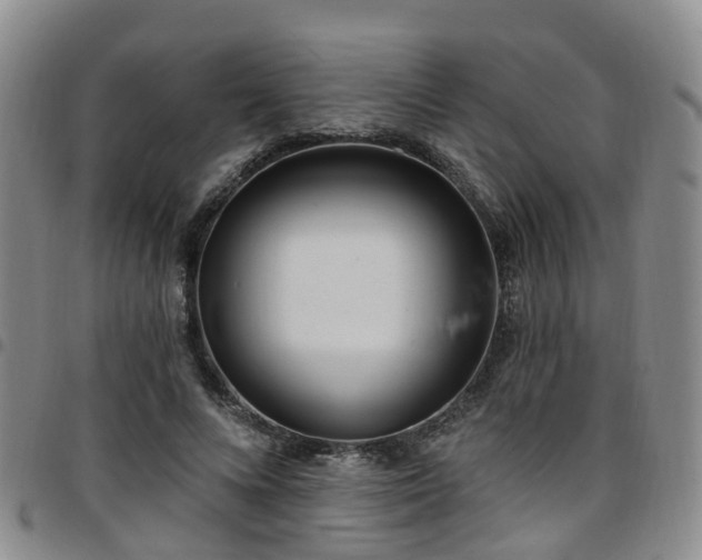 X0000097750688200803141557