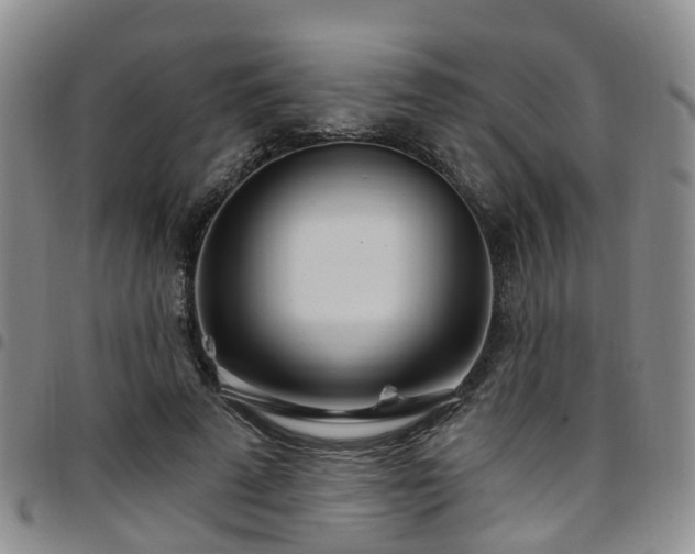 X0000097750689200803141557