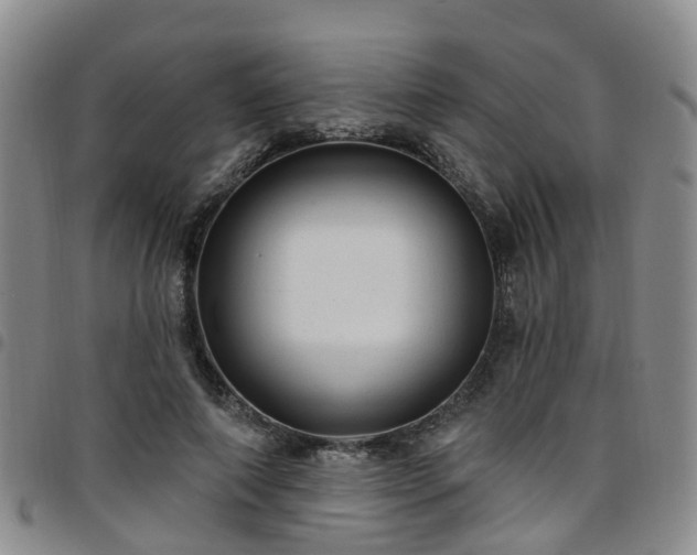 X0000097750690200803141557