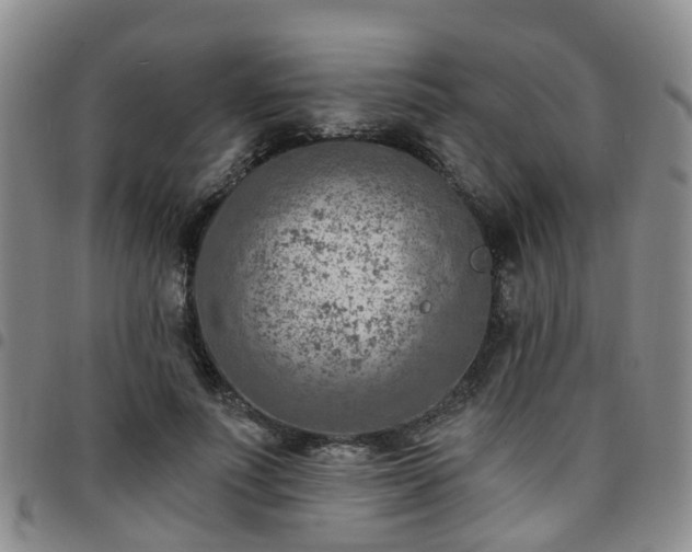 X0000097750691200803141557