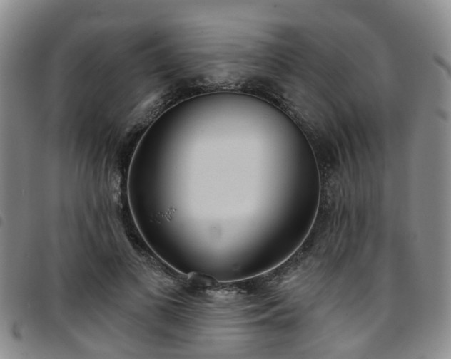 X0000097750693200803141557