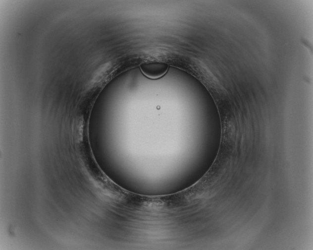 X0000097750694200803141557