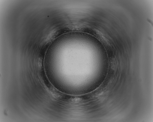 X0000097750695200803141557