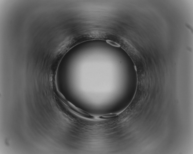 X0000097750696200803141557