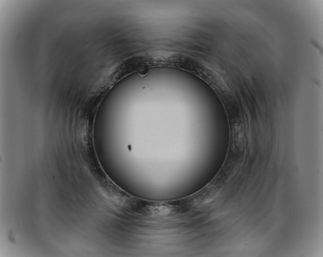 X0000097750698200803141557