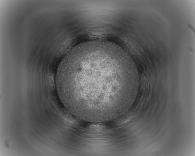 X0000097750699200803141557