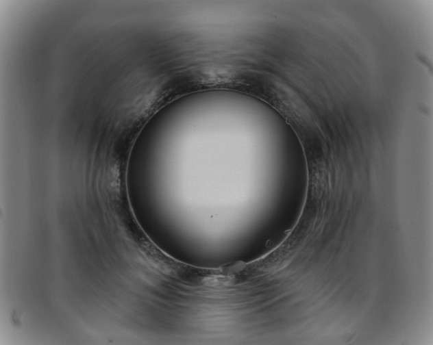 X0000097750700200803141557