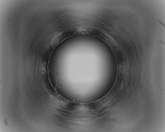 X0000097750702200803141557