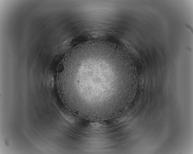 X0000097750703200803141557