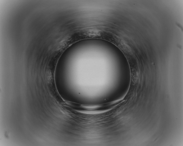 X0000097750704200803141557