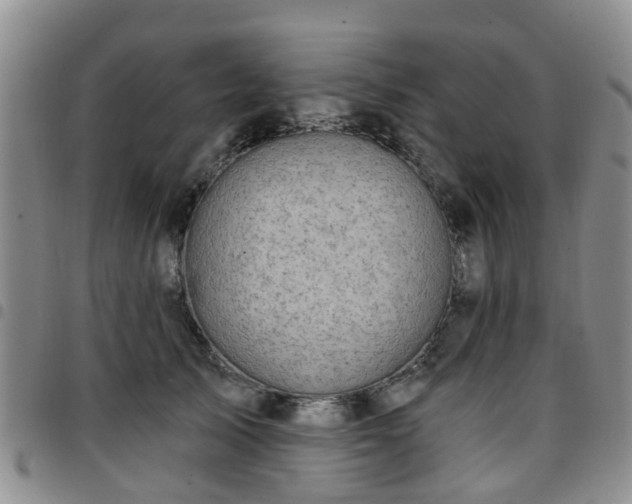 X0000097750705200803141557