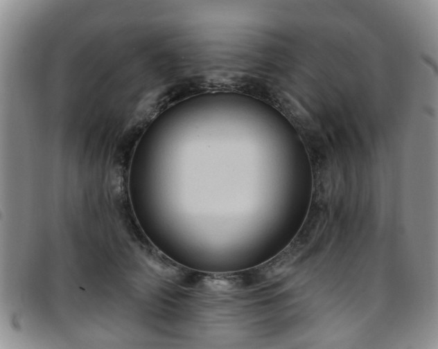 X0000097750706200803141557