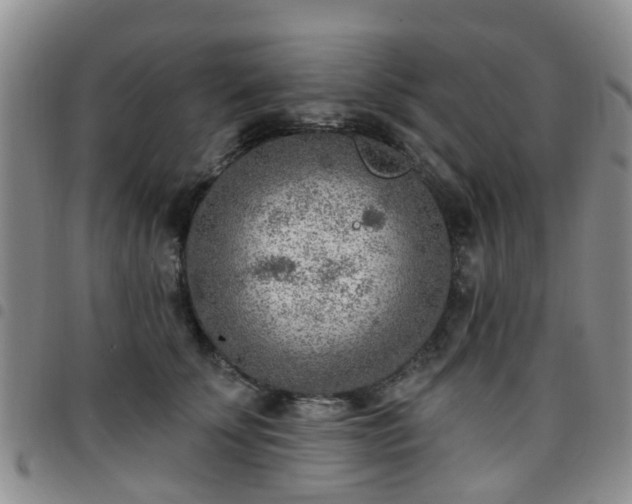 X0000097750707200803141557