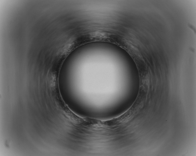 X0000097750708200803141557