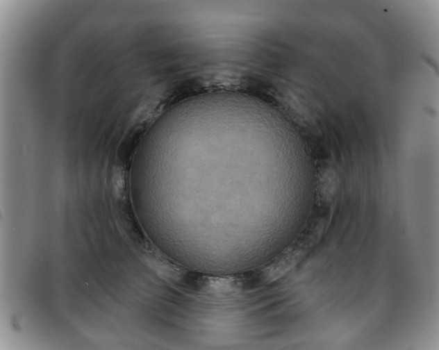 X0000097750709200803141557