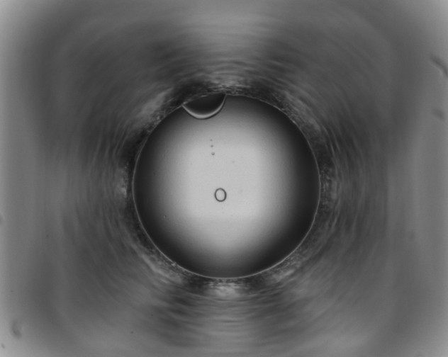 X0000097750710200803141556