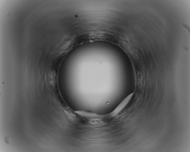 X0000097750712200803141556