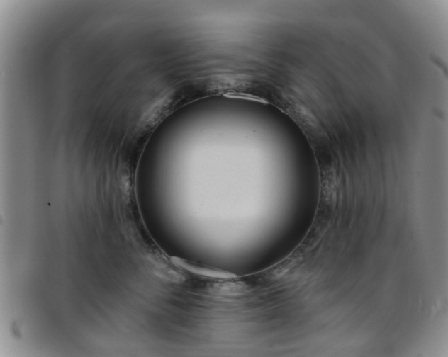 X0000097750716200803141556