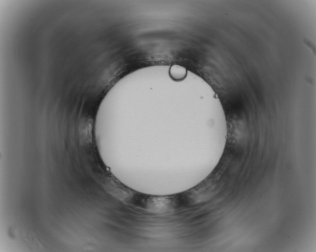 X0000097750717200803141556