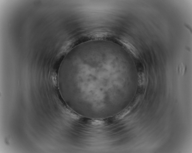 X0000097750718200803141556