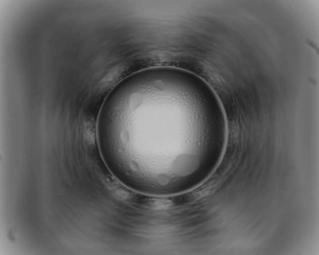 X0000097750719200803141556