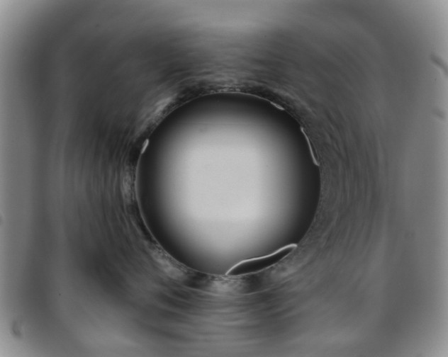 X0000097750720200803141556