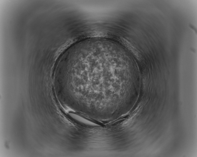X0000097750721200803141556
