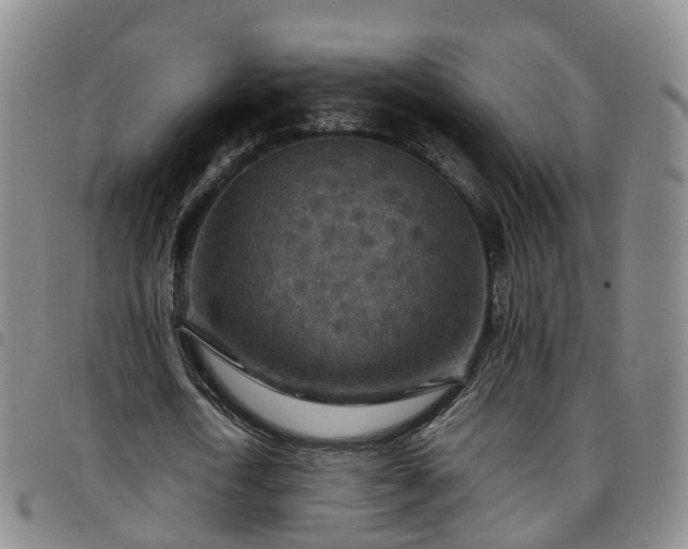 X0000097750722200803141556