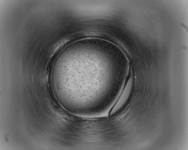 X0000097750723200803141556