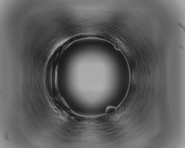 X0000097750724200803141556