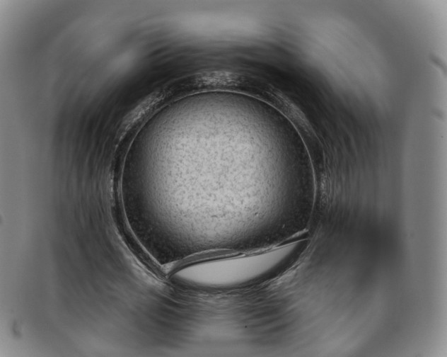 X0000097750725200803141556